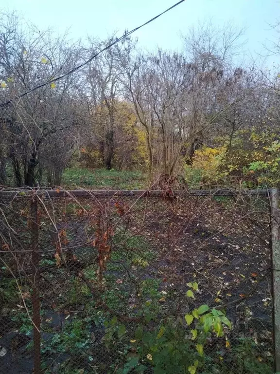 Дом в Тамбовская область, Тамбов Химик СНТ, 92 (5 м) - Фото 1