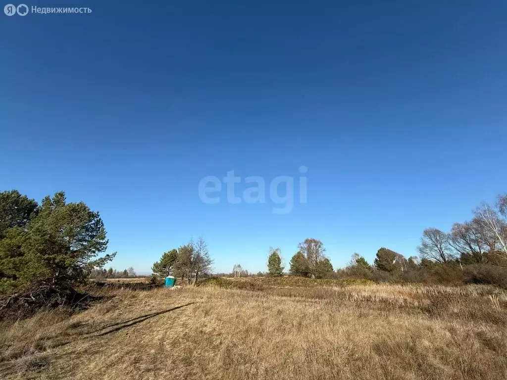 Участок в Бессоновский район, посёлок Подлесный, КП Лесное озеро (6.22 ... - Фото 2