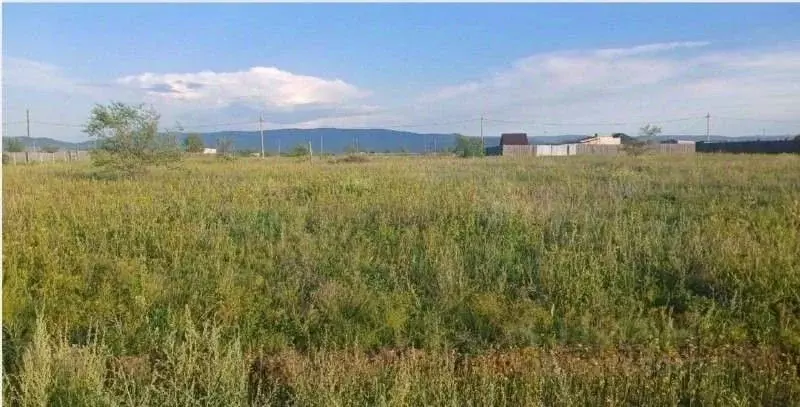 Участок в Забайкальский край, Чита Кенон ДНТ, 608 (10.0 сот.) - Фото 1