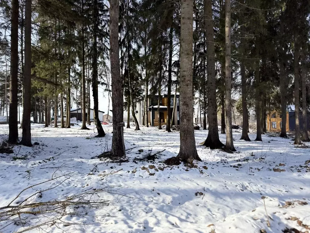 Участок в Московская область, Химки Сходня Форест Парк кп,  (7.0 сот.) - Фото 1