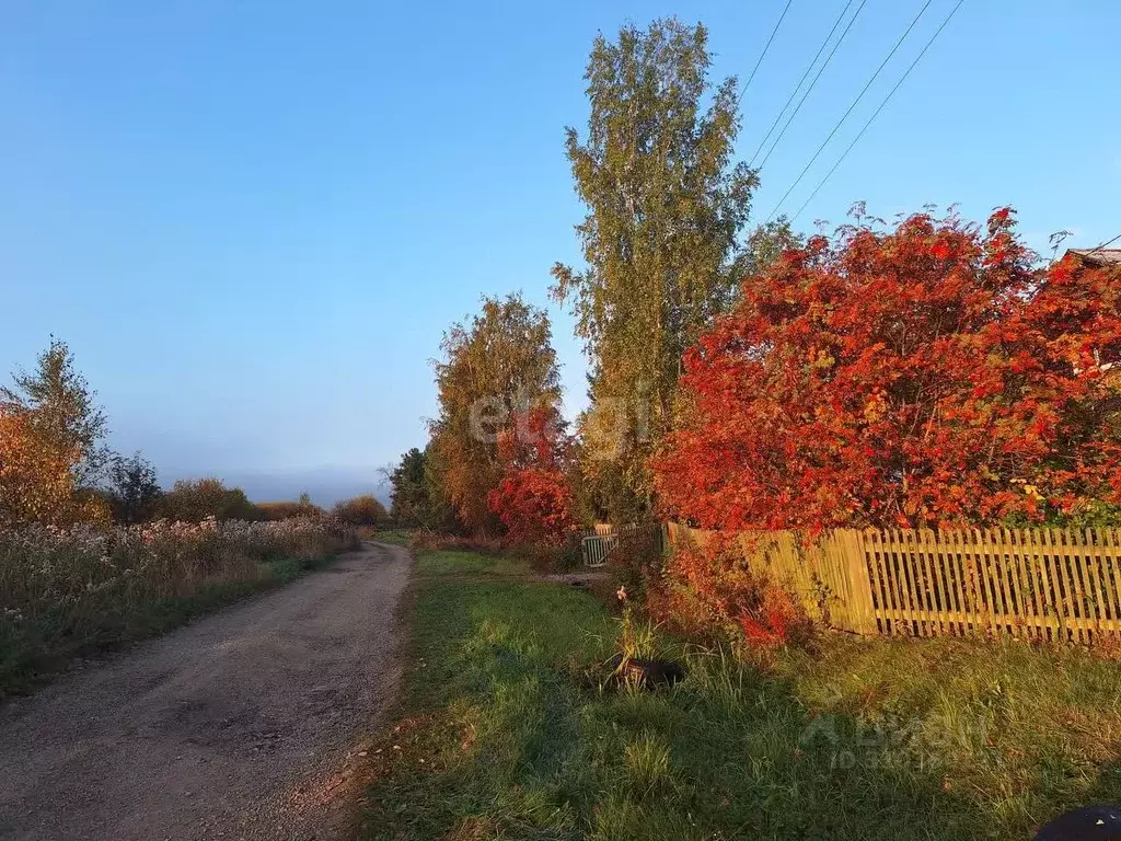 Дом в Свердловская область, Горноуральский городской округ, с. Шиловка ... - Фото 1