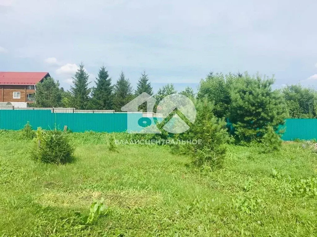 Дом в Новосибирская область, Ордынский район, с. Спирино ул. Ленина, ... - Фото 2