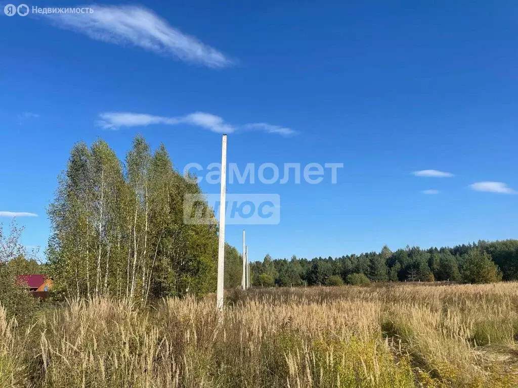 Участок в Владимирская область, Судогодский муниципальный округ, ... - Фото 0