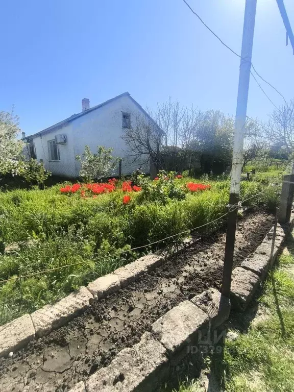 Дом в Крым, Ленинский район, с. Горностаевка ул. Комарова, 9 (55 м) - Фото 1