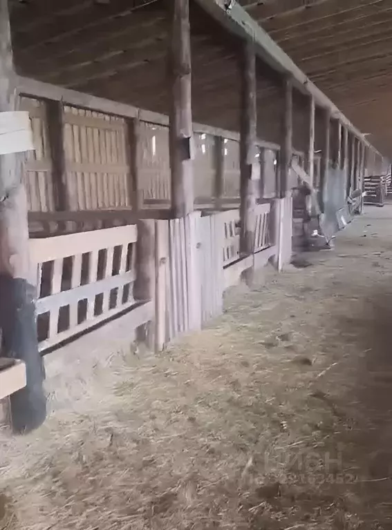 Дом в Ивановская область, Южский район, Мугреево-Никольское с/пос, с. ... - Фото 1