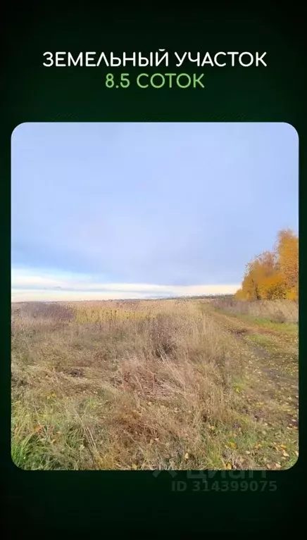 Участок в Курская область, Курский район, Нижнемедведицкий сельсовет  ... - Фото 1