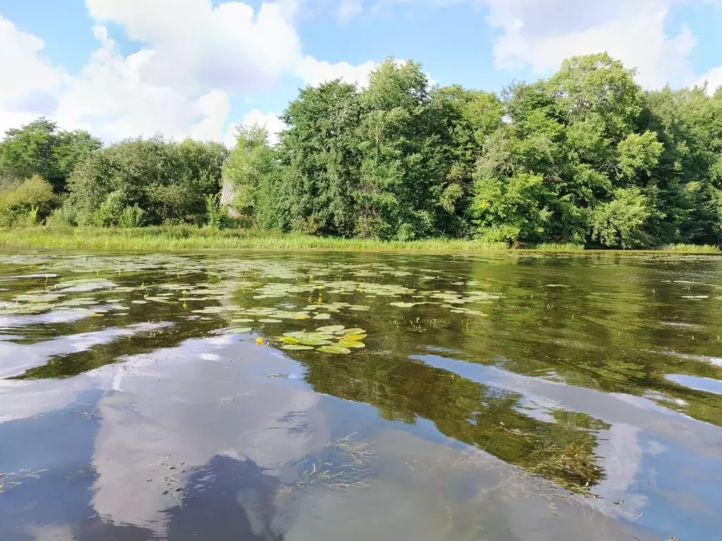 Участок в Тверская область, Осташковский муниципальный округ  (210.0 ... - Фото 2