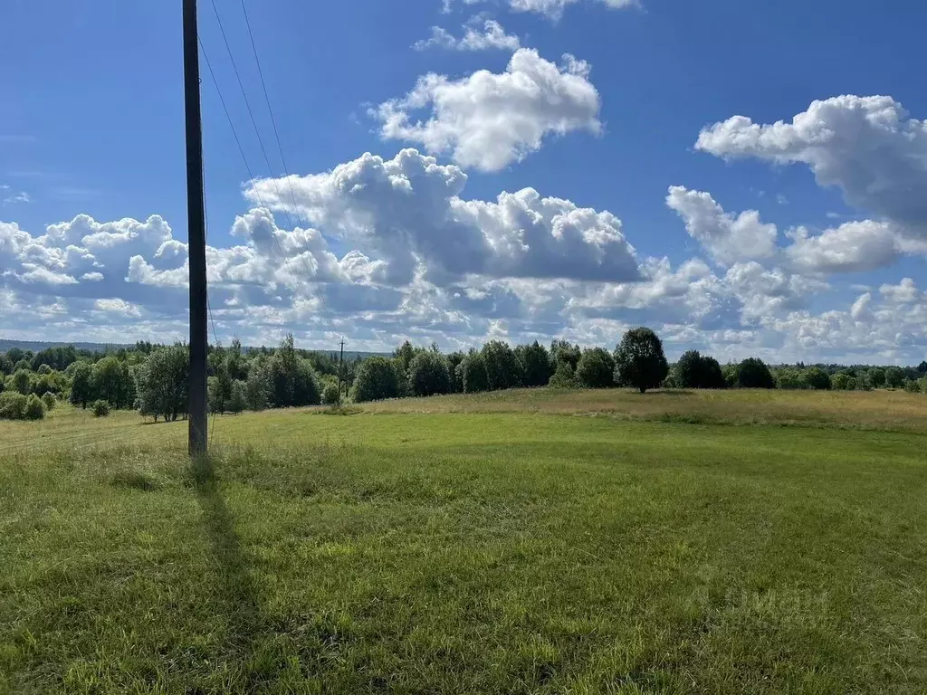 Участок в Новгородская область, Окуловский район, Турбинное с/пос, д. ... - Фото 1