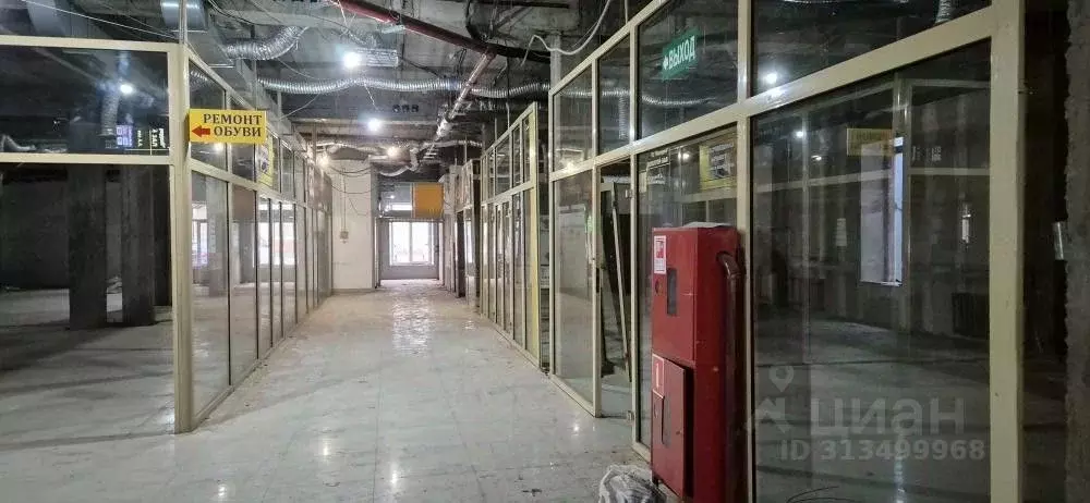 Помещение свободного назначения в Иркутская область, Иркутск Рабочая ... - Фото 2