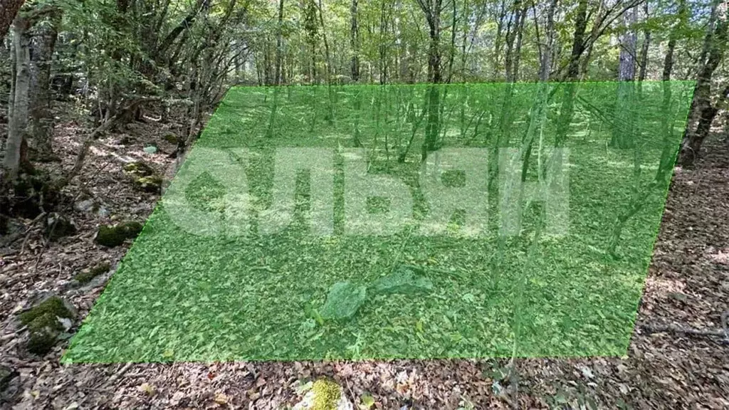 Участок в Крым, Ялта городской округ, Краснокаменка пгт пер. Фрунзе ... - Фото 2