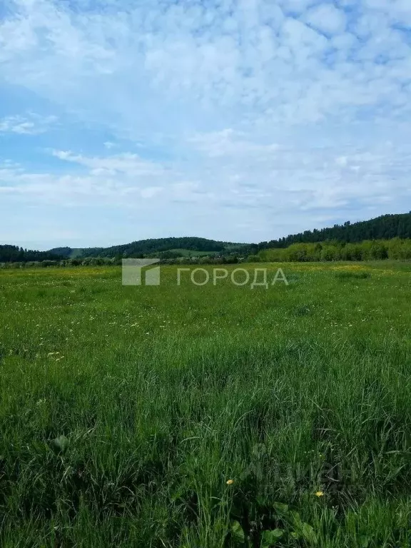Участок в Кемеровская область, Новокузнецкий муниципальный округ, с. ... - Фото 1