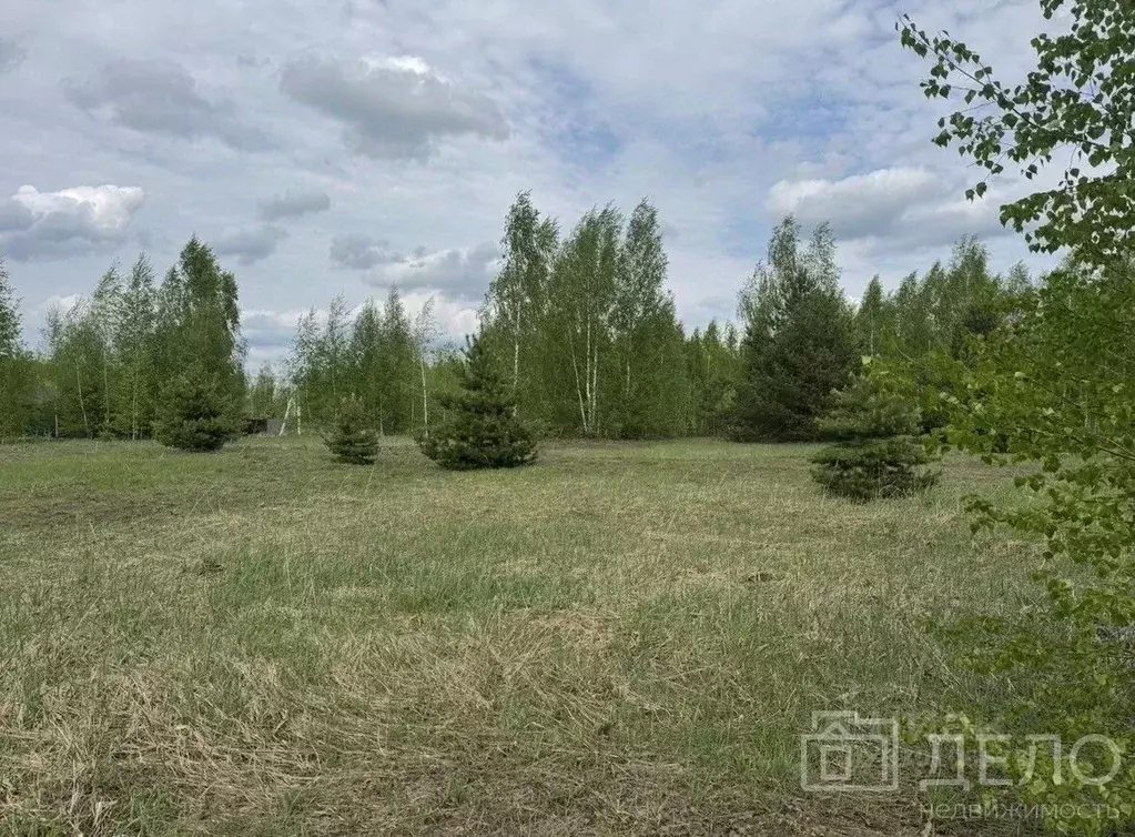 Участок в Рязанская область, Рязанский муниципальный округ, с. ... - Фото 1