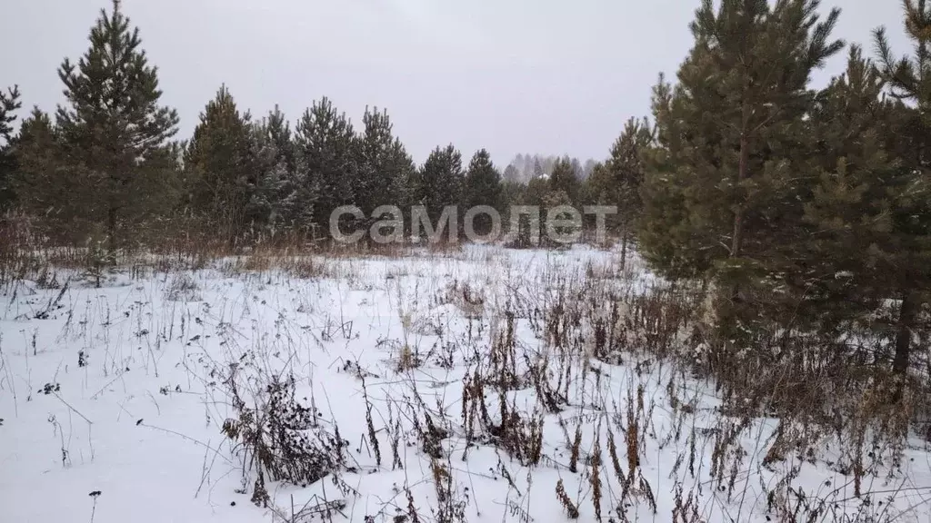 Участок в Тюменская область, Тюменский муниципальный округ, ... - Фото 1