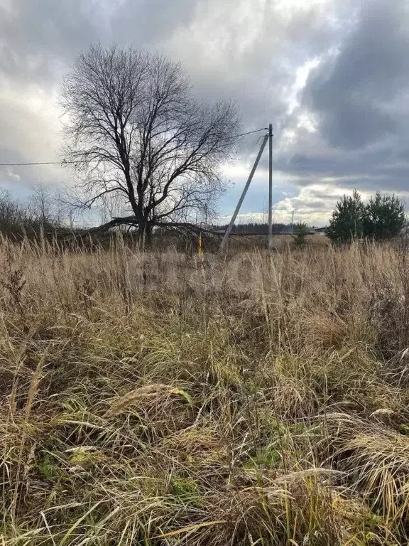 Участок в Владимирская область, Ковровский район, Малыгинское с/пос, ... - Фото 1