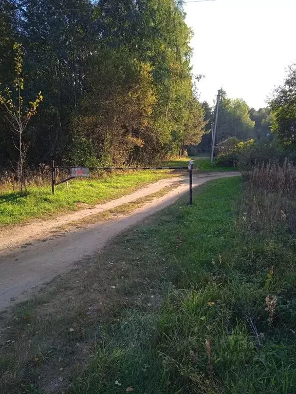 Участок в Тверская область, Осташковский муниципальный округ, ... - Фото 0