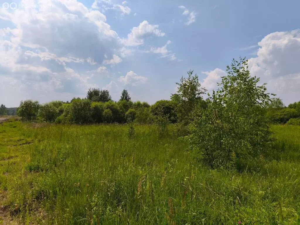 Участок в Московская область, Раменский муниципальный округ, ... - Фото 1