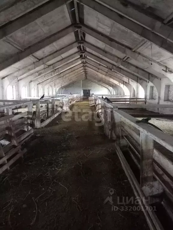 Помещение свободного назначения в Ростовская область, Зерноградский ... - Фото 1