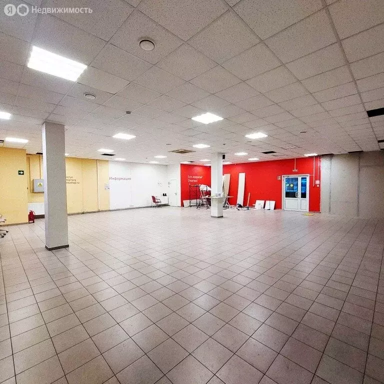 Помещение свободного назначения (240 м) - Фото 1