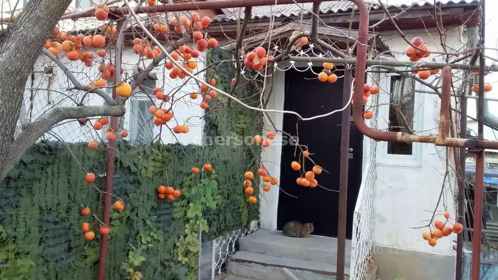 Дом в Севастополь ул. Мечникова (81 м) - Фото 1
