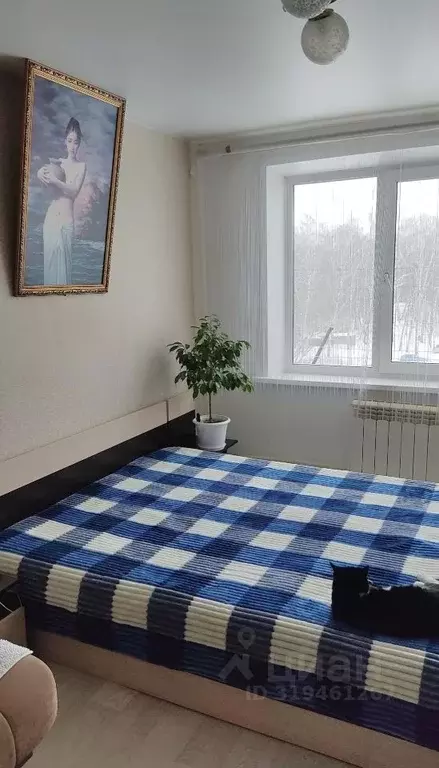 Студия Кемеровская область, Кемерово Инициативная ул., 5 (23.0 м) - Фото 0