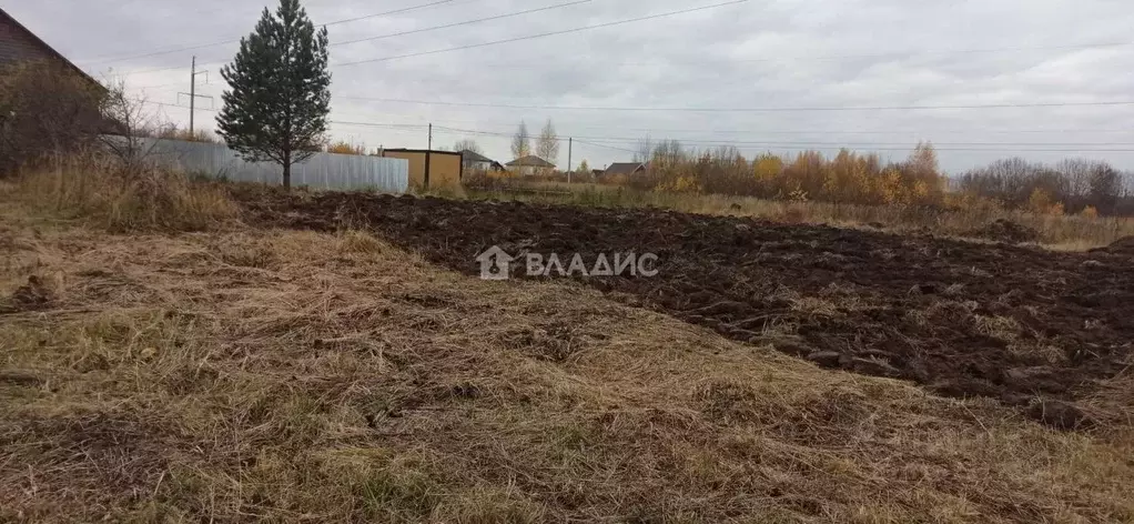 Участок в Владимирская область, Суздальский район, Новоалександровское ... - Фото 1