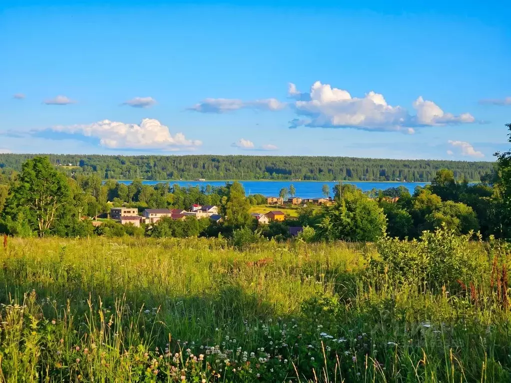 Участок в Ленинградская область, Приозерский район, Петровское с/пос  ... - Фото 1