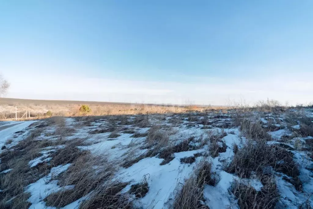 Участок в Алтайский край, Белокуриха ул. Свободы (8.0 сот.) - Фото 1