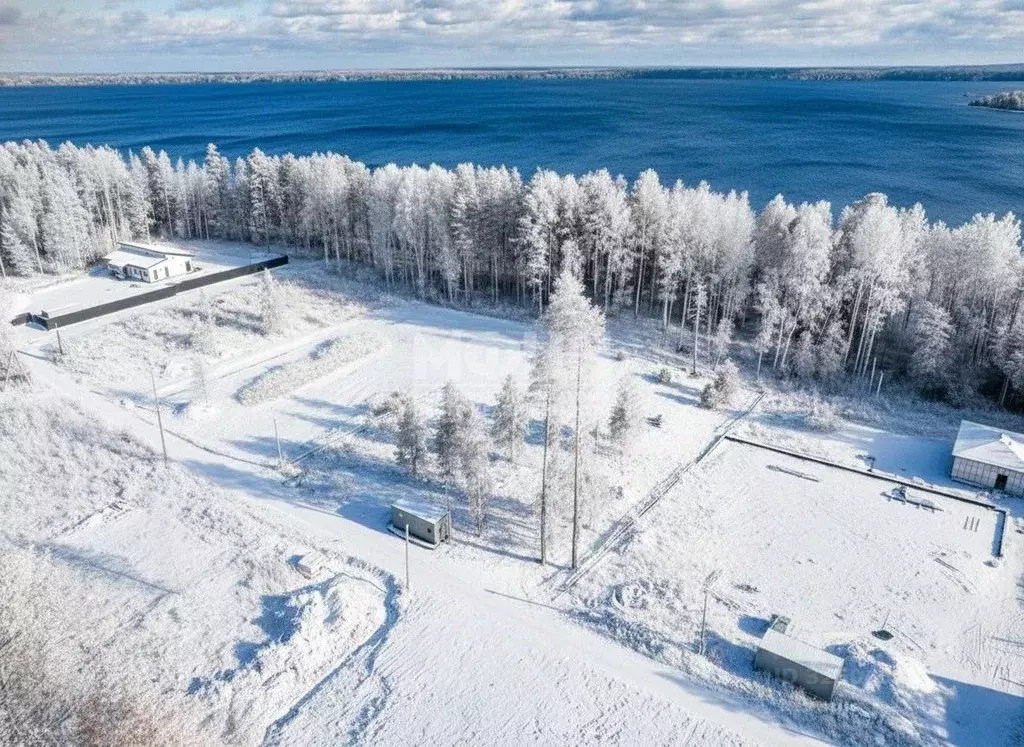 Участок в Карелия, Пряжинский район, пос. Чална Шоссейная ул., 13 ... - Фото 2