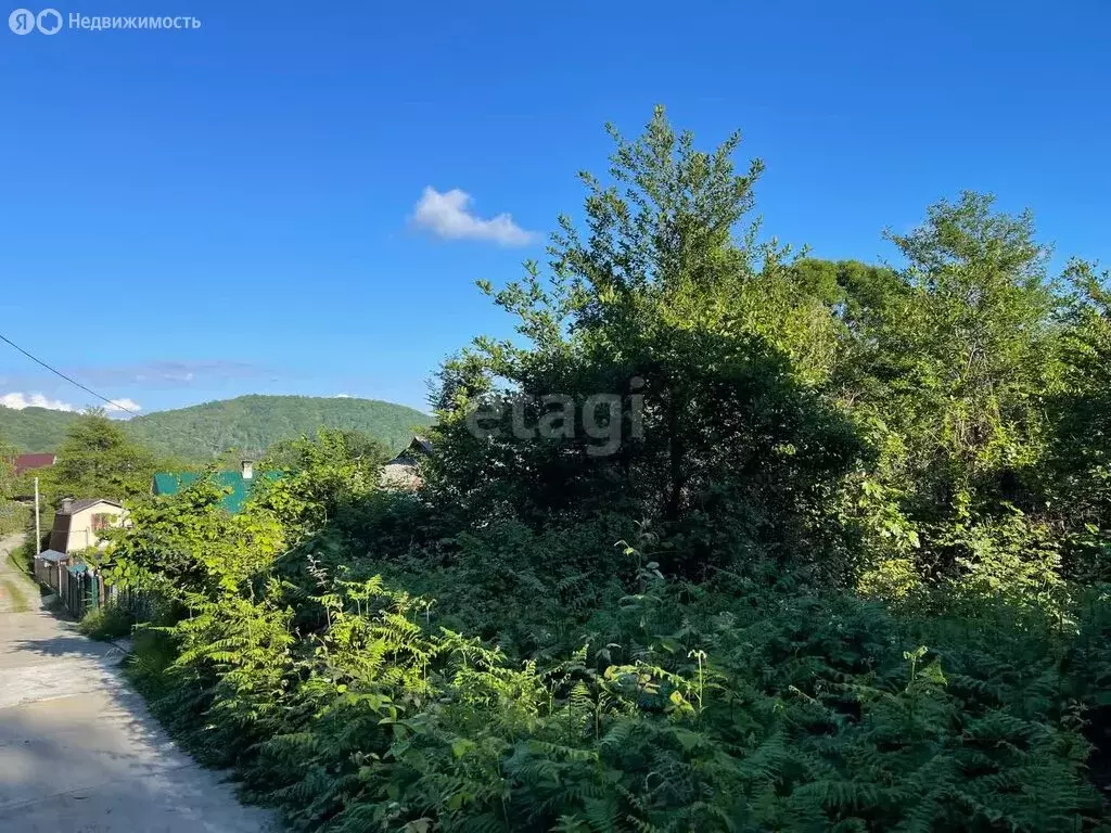 Участок в Сочи, Лазаревский район (5.3 м) - Фото 0