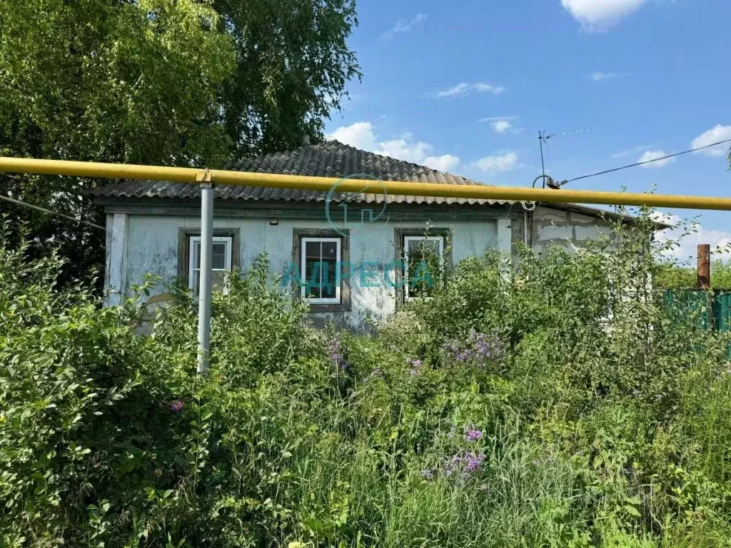 Дом в Белгородская область, Чернянский муниципальный округ, с. ... - Фото 1