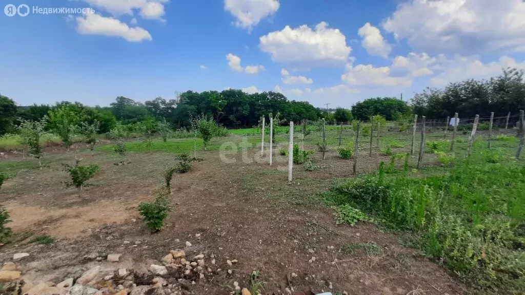 Участок в Краснодарский край, муниципальный округ Анапа, хутор Верхний ... - Фото 2