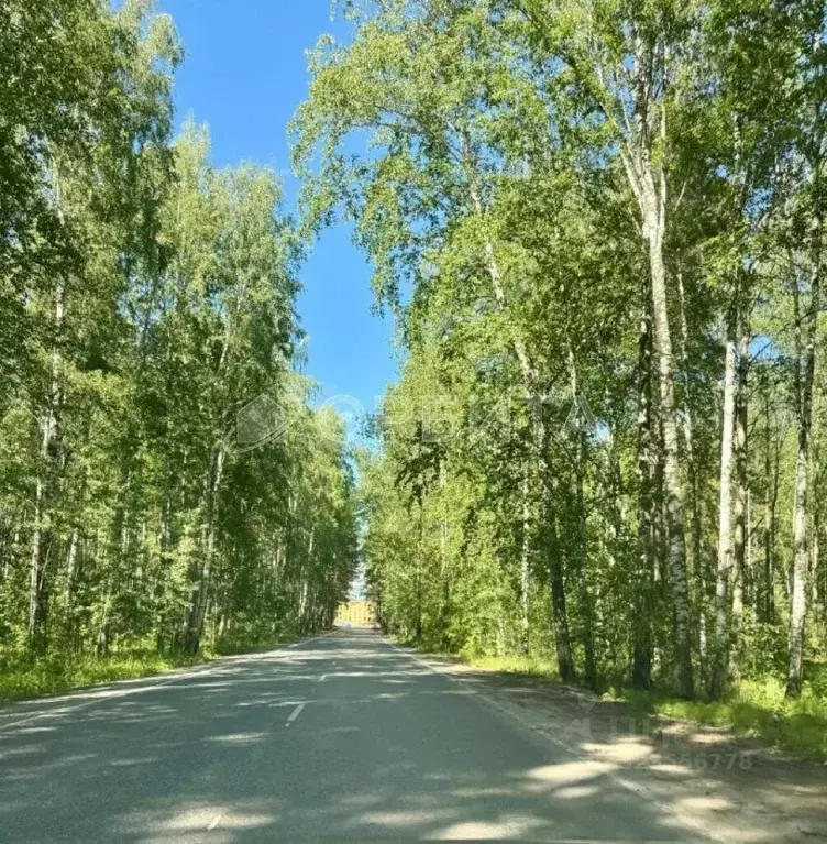Участок в Тюменская область, Нижнетавдинский муниципальный округ, д. ... - Фото 1