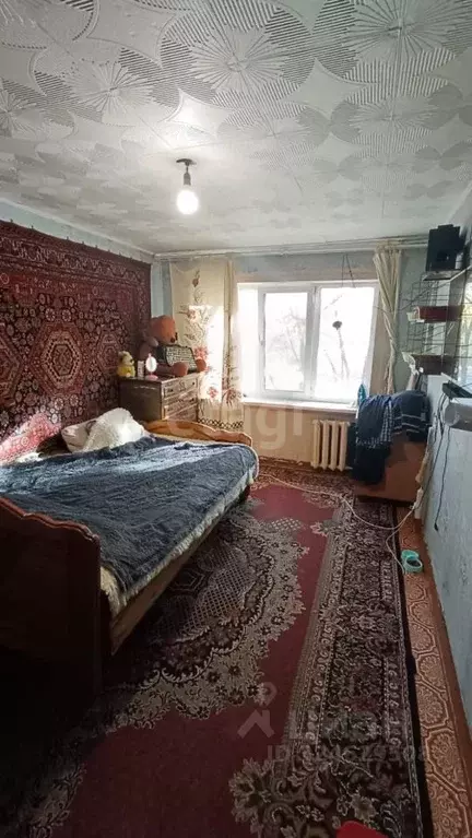 Комната Амурская область, Благовещенск Кузнечная ул., 70/2 (20.0 м) - Фото 1