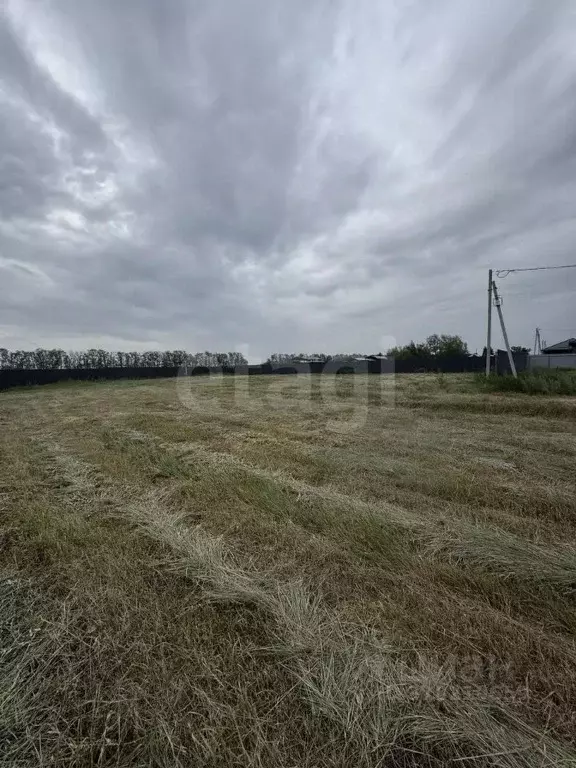 Участок в Ростовская область, Мясниковский район, Краснокрымское ... - Фото 0