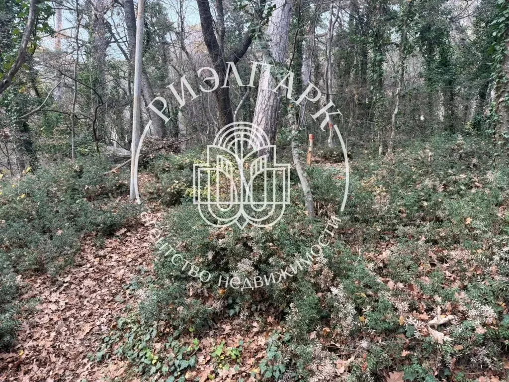 Участок в Крым, Ялта муниципальный округ, Массандра пгт ул. ... - Фото 2