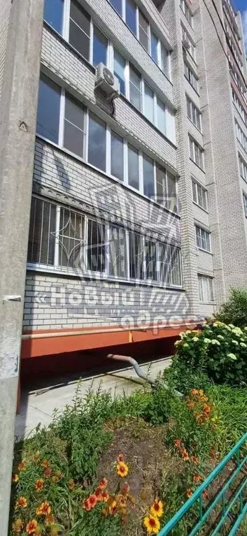 1-к кв. Воронежская область, Воронеж ул. Миронова, 43 (41.2 м) - Фото 1
