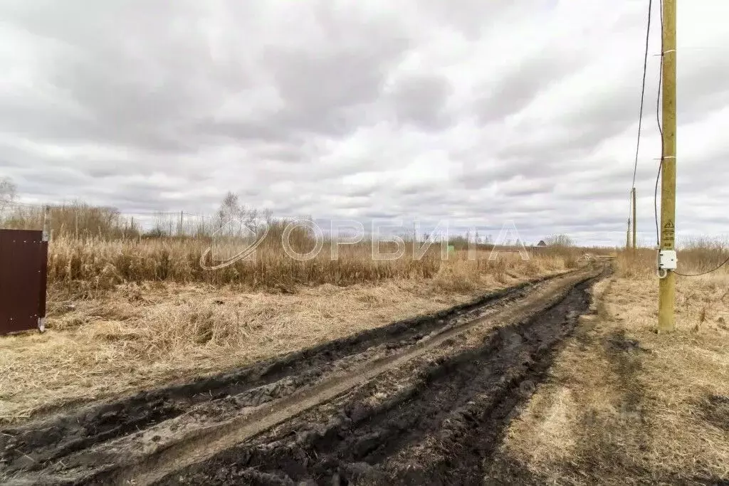 Участок в Тюменская область, Тюмень Большое Царево-1 СНТ,  (10.0 сот.) - Фото 2