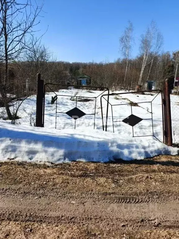 Участок в Московская область, Коломна городской округ, д. Новоселки, ... - Фото 2