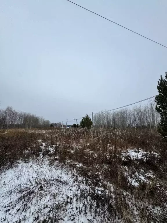 Участок в Тюменская область, Нижнетавдинский муниципальный округ, ... - Фото 1