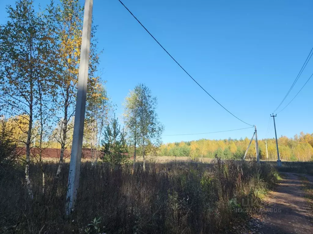 Участок в Владимирская область, Киржачский район, д. Илейкино  (10.0 ... - Фото 1