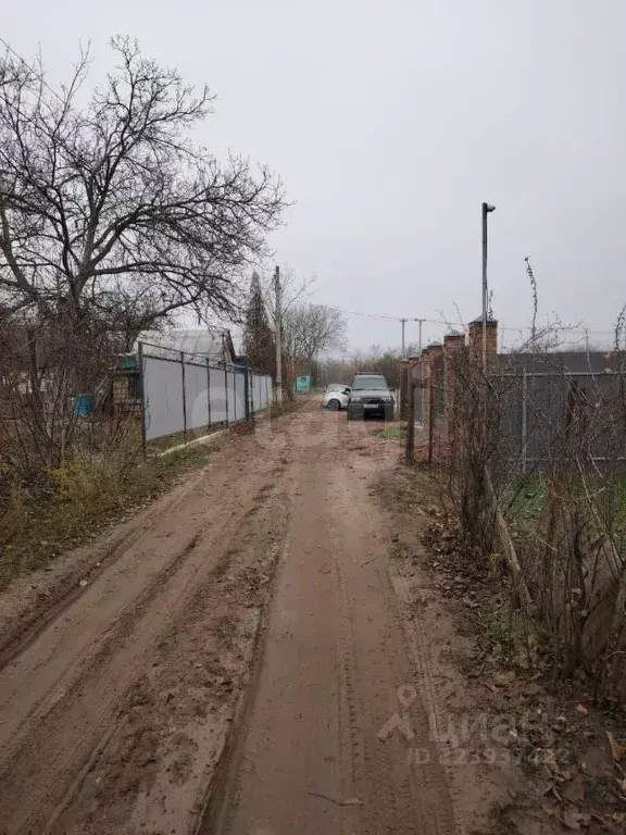 Участок в Ростовская область, Новочеркасск № 16 садовое товарищество, ... - Фото 2