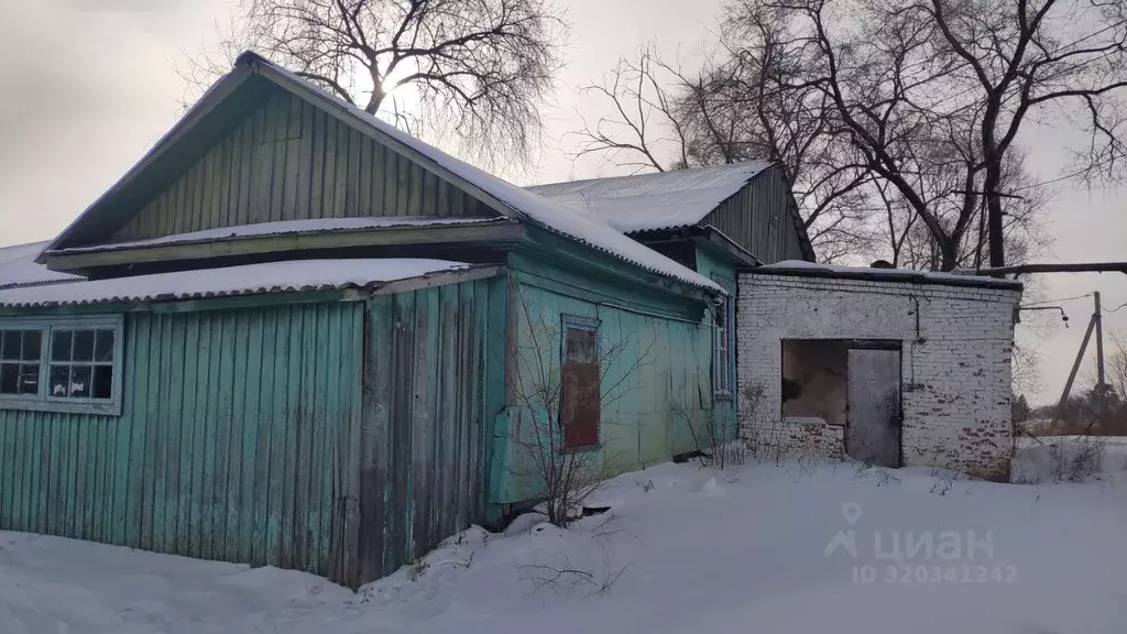 Помещение свободного назначения в Амурская область, с. Константиновка ... - Фото 0