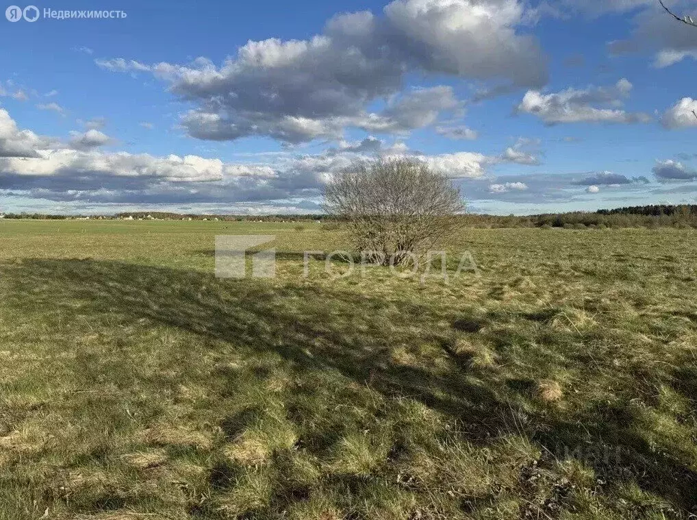 Участок в Иркутская область, Усть-Кут (7.8 м) - Фото 1