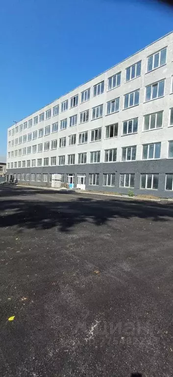 Помещение свободного назначения в Алтайский край, Барнаул просп. ... - Фото 0