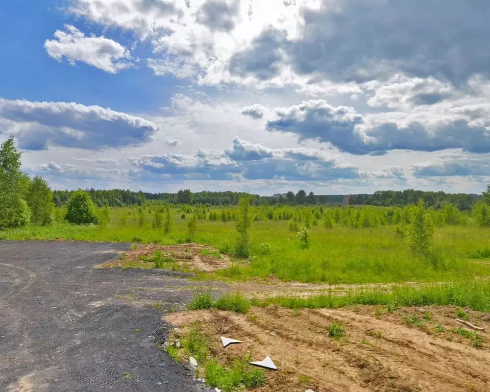 Участок в Московская область, Дмитровский муниципальный округ, д. ... - Фото 2