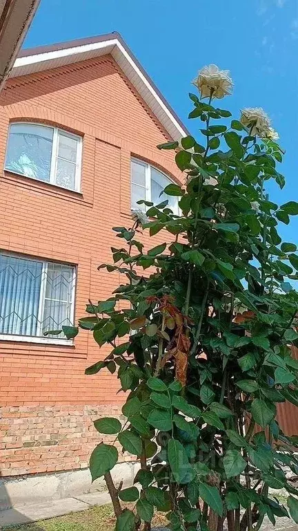 Дом в Ростовская область, Ростов-на-Дону Днепродзержинский пер., 51 ... - Фото 1