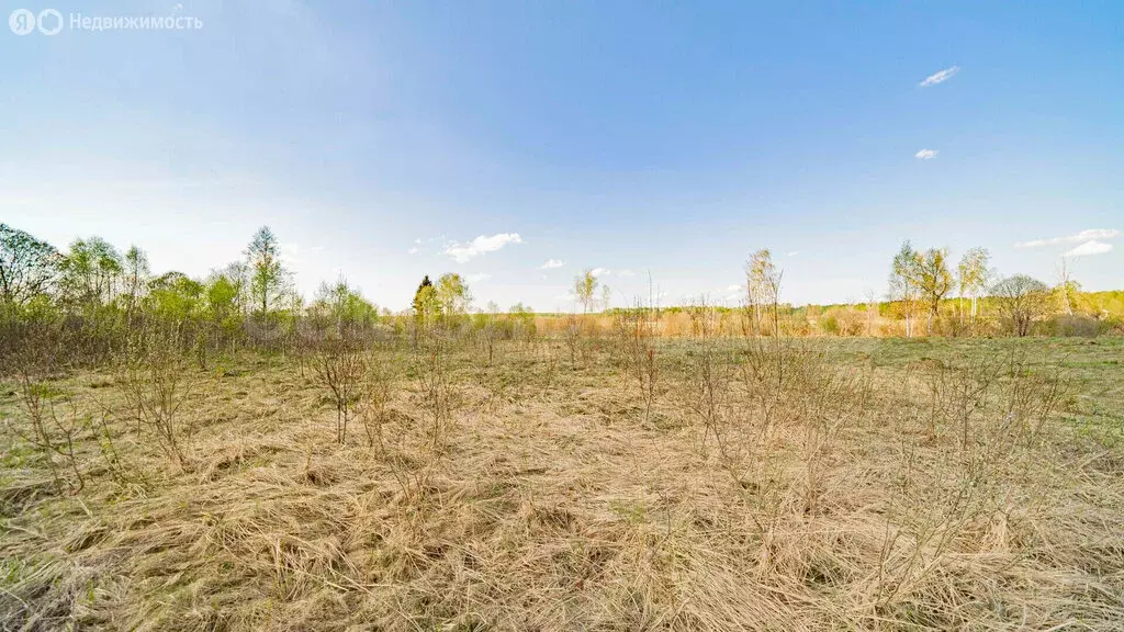 Участок в деревня Шустиково (15 м) - Фото 2