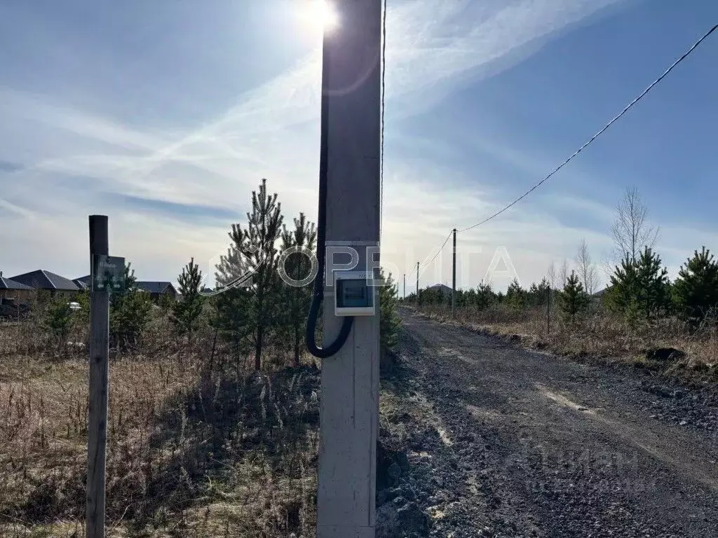 Участок в Тюменская область, Тюменский муниципальный округ, д. Елань ... - Фото 2