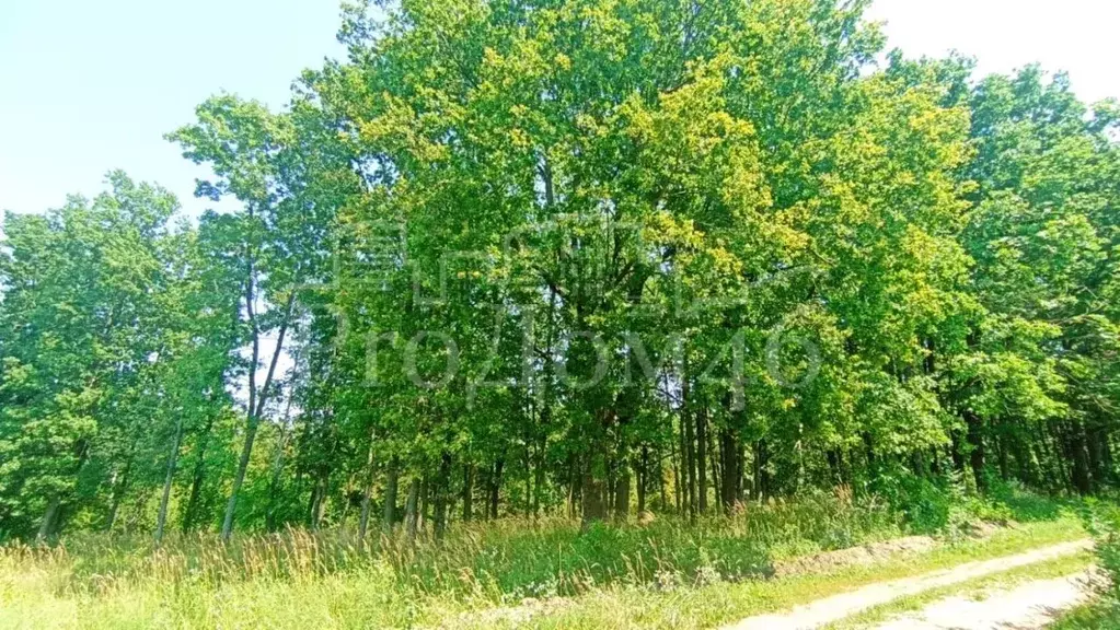 Участок в Курская область, Курск Юбилейное садовое товарищество, 177 ... - Фото 0