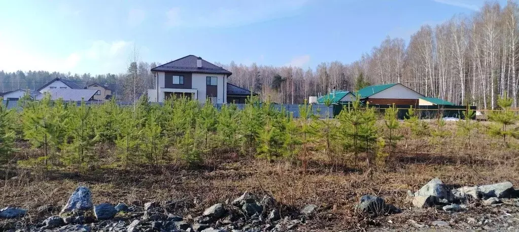 Участок в Свердловская область, Екатеринбург просп. Ленина (13.0 сот.) - Фото 2